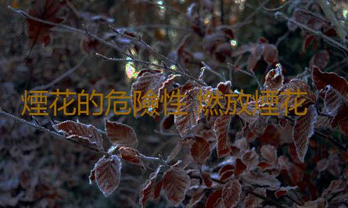 煙花的危險性 燃放煙花爆竹的注意事項