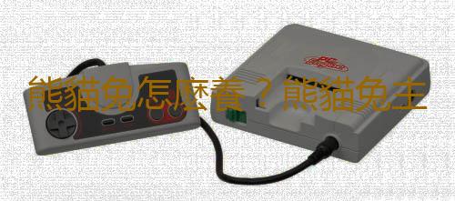 熊貓兔怎麽養？熊貓兔主要吃什麽？