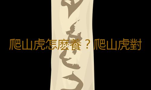 爬山虎怎麽養？爬山虎對家居環境的作用