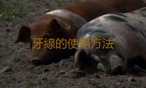 牙線的使用方法