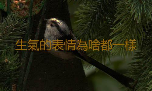 生氣的表情為啥都一樣