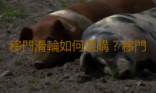 移門滑輪如何選購？移門滑輪怎麽辨別好壞？