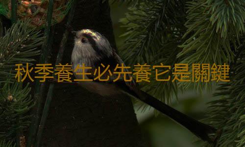 秋季養生必先養它是關鍵
