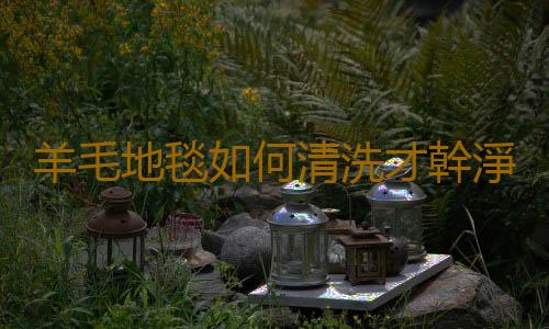 羊毛地毯如何清洗才幹淨？