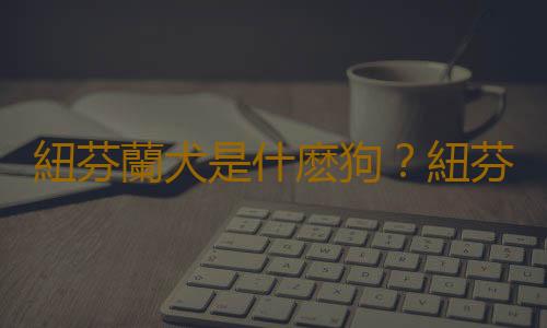 紐芬蘭犬是什麽狗？紐芬蘭犬如何喂養？