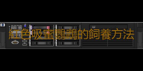 紅色吸蜜鸚鵡的飼養方法 紅色吸蜜鸚鵡的價格