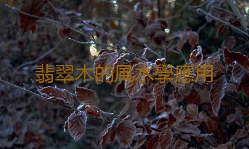 翡翠木的風水學應用