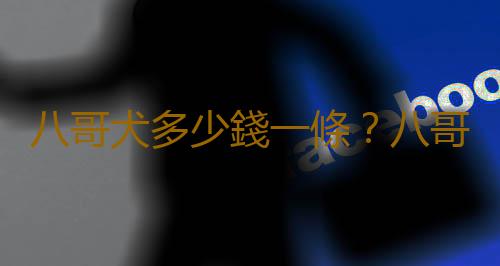八哥犬多少錢一條？八哥犬如何喂養