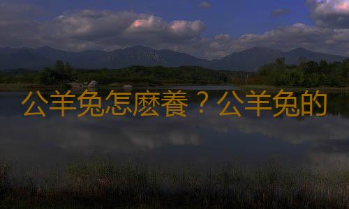 公羊兔怎麽養？公羊兔的產地是哪裏？