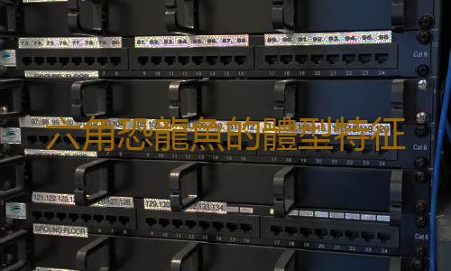 六角恐龍魚的體型特征