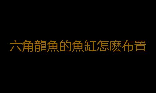 六角龍魚的魚缸怎麽布置？六角龍魚的簡介