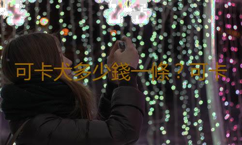 可卡犬多少錢一條？可卡犬怎麽訓練？