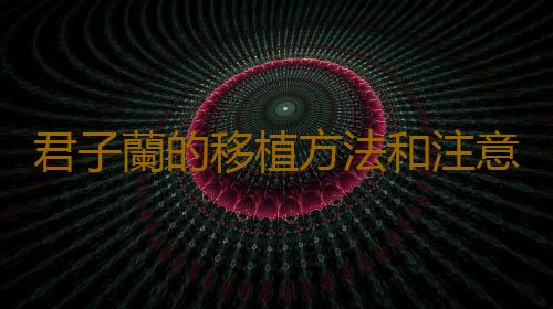 君子蘭的移植方法和注意事項
