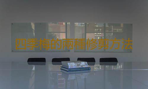 四季梅的兩種修剪方法