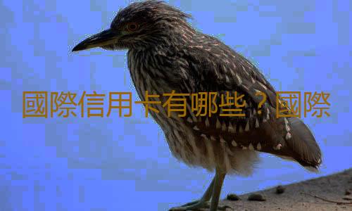 國際信用卡有哪些？國際信用卡怎麽辦理？