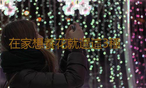 在家想養花就選這3種 開花長達100天
