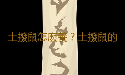 土撥鼠怎麽養？土撥鼠的品種