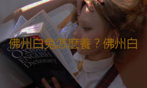 佛州白兔怎麽養？佛州白兔簡介