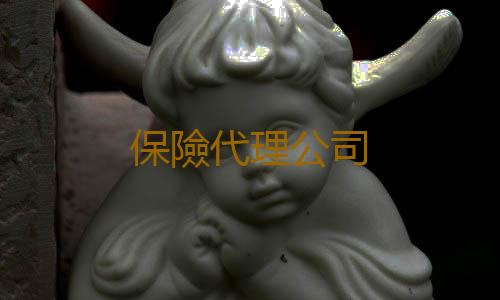 保險代理公司