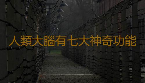 人類大腦有七大神奇功能 你知道幾個