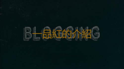 一品紅的介紹
