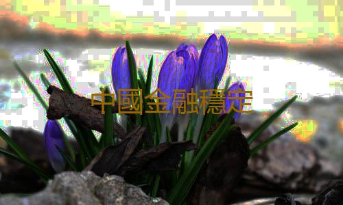 中國金融穩定