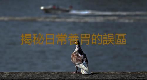 揭秘日常養胃的誤區