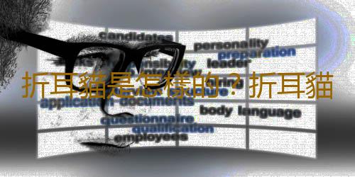 折耳貓是怎樣的？折耳貓的生活習性