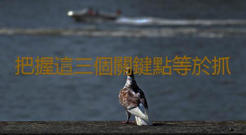 把握這三個關鍵點等於抓住長壽的尾巴