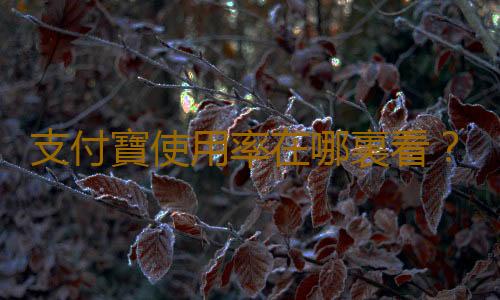 支付寶使用率在哪裏看？支付寶使用率怎麽看？