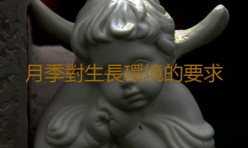 月季對生長環境的要求