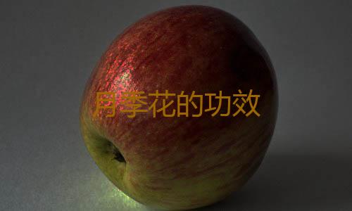 月季花的功效