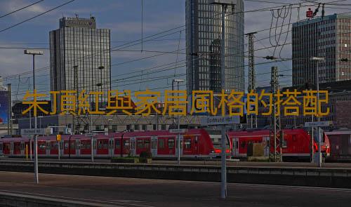 朱頂紅與家居風格的搭配
