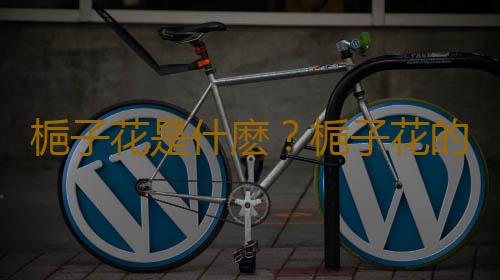 梔子花是什麽？梔子花的養護方法