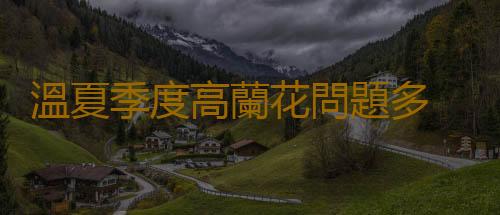 溫夏季度高蘭花問題多 緩解葉子幹尖有妙招