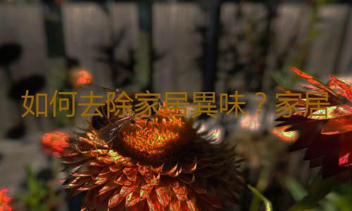 如何去除家居異味？家居異味去除的竅門