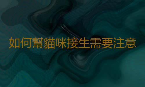 如何幫貓咪接生需要注意哪些問題