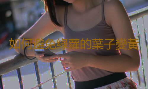 如何避免綠蘿的葉子變黃？