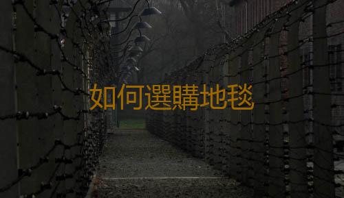 如何選購地毯