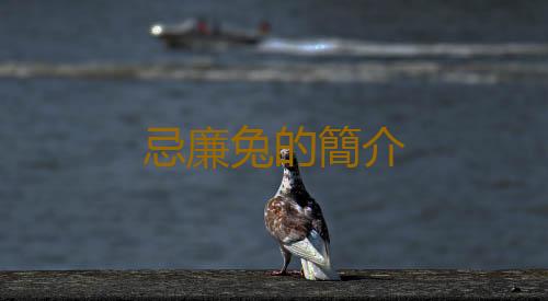 忌廉兔的簡介