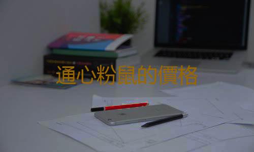 通心粉鼠的價格
