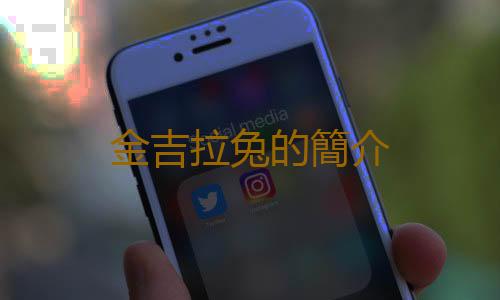 金吉拉兔的簡介