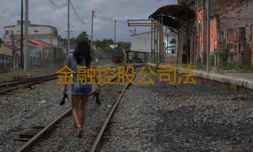 金融控股公司法
