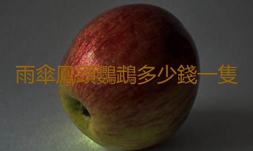 雨傘鳳頭鸚鵡多少錢一隻？雨傘鳳頭鸚鵡的簡介