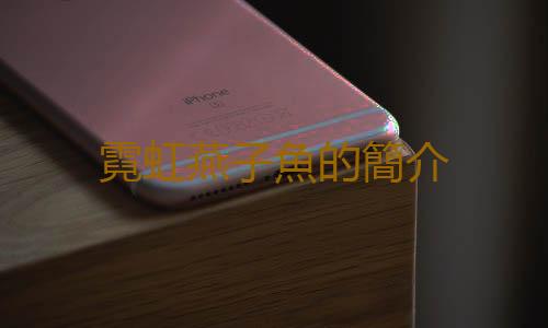霓虹燕子魚的簡介