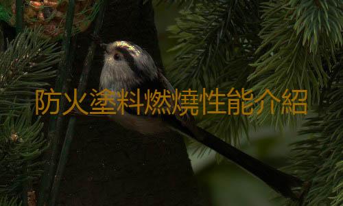 防火塗料燃燒性能介紹