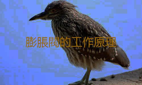 膨脹閥的工作原理