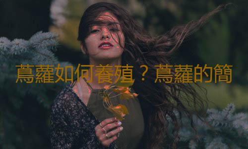蔦蘿如何養殖？蔦蘿的簡介