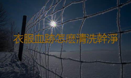 衣服血跡怎麽清洗幹淨