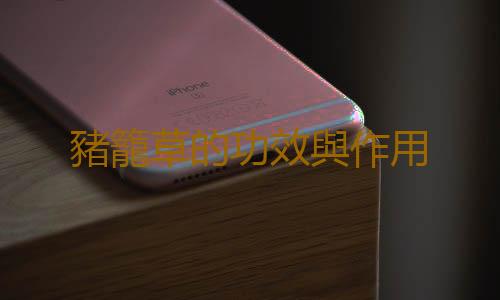 豬籠草的功效與作用